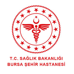 bursa şehir hastanesi